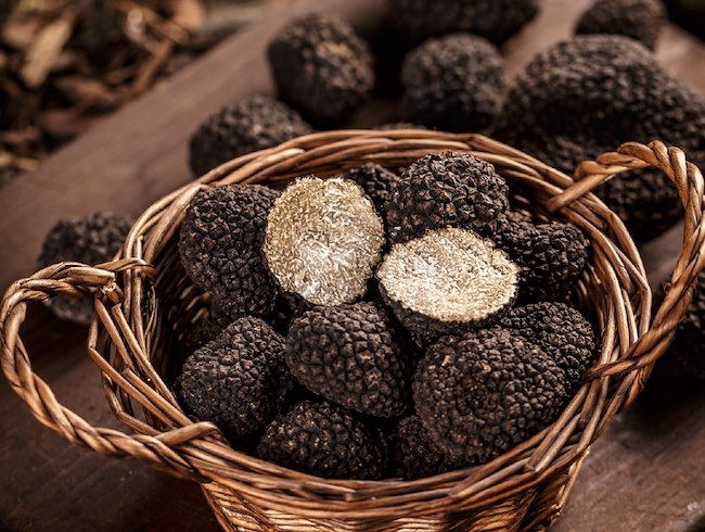Autumn Black Truffle Specials